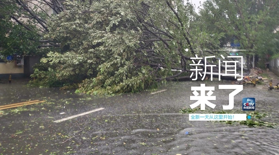 &ldquo;山竹&rdquo;怒過，高空塔吊你還好嗎？