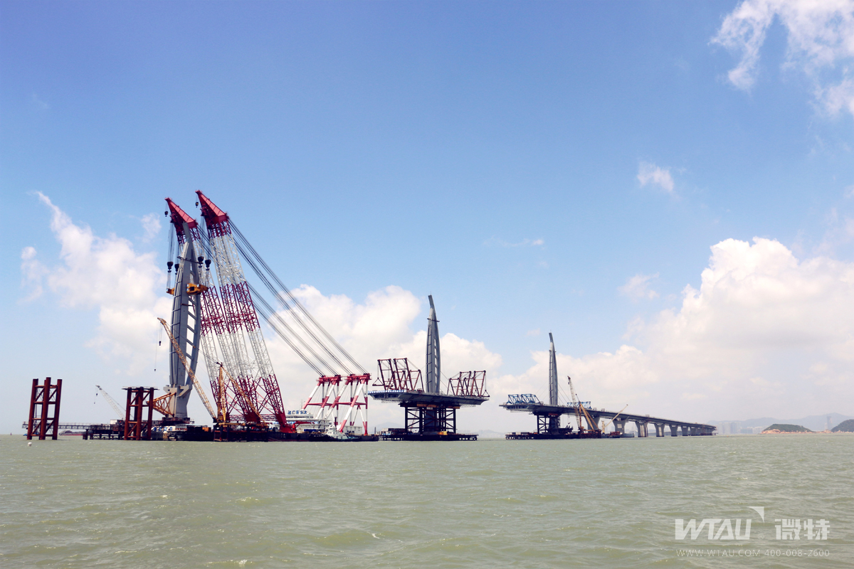 中國科技核心期刊發(fā)表微特《協(xié)手標(biāo)準(zhǔn)化改革同行 守護(hù)起重機吊裝安全》的文章