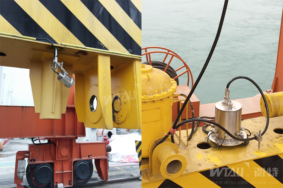 微特紫蘭壩電廠門機安全監(jiān)控系統(tǒng)項目順利驗收