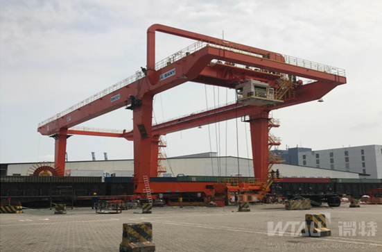 不負(fù)春光，微特人在行動